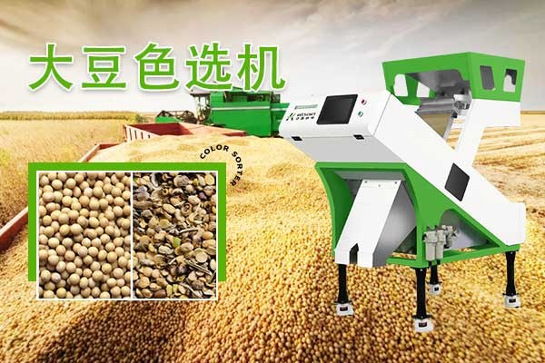 大豆产业新高，机器视觉引领色选机助力智能生产